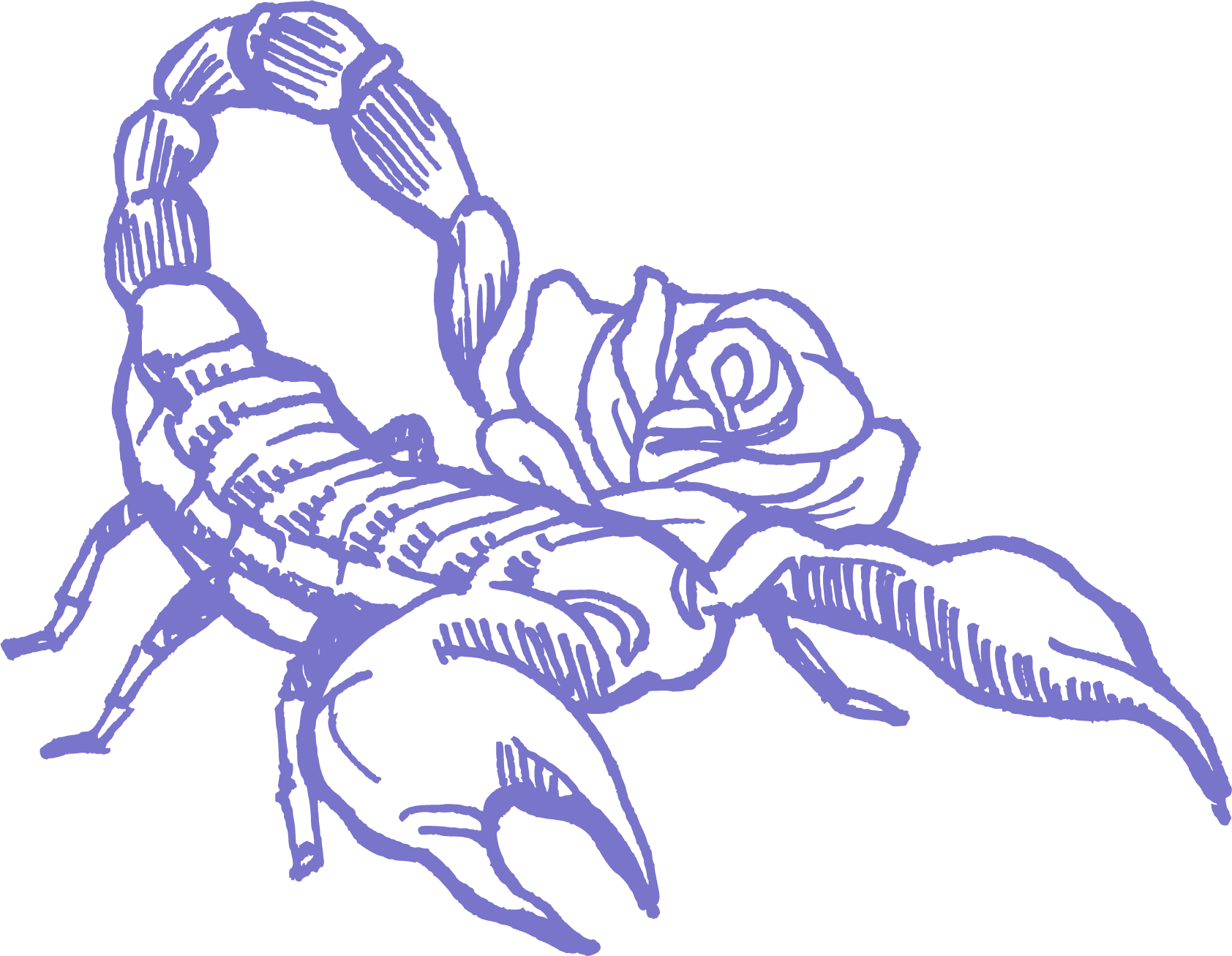 Skorpion